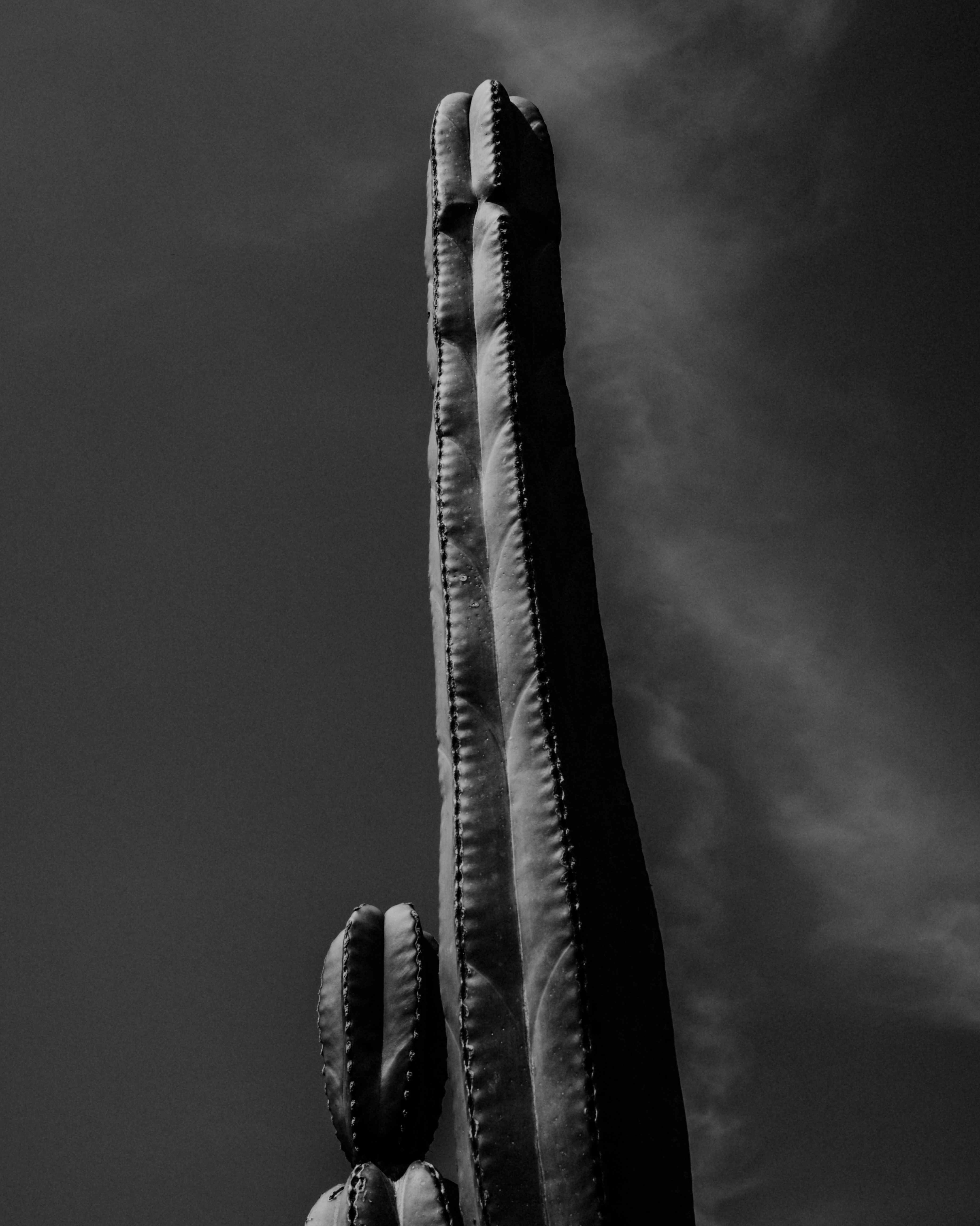 NC03
